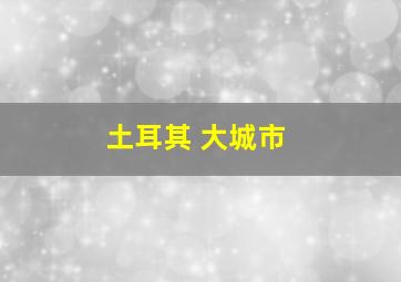 土耳其 大城市